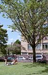 Scan-110703-0003.jpg