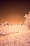 IR test pt 1